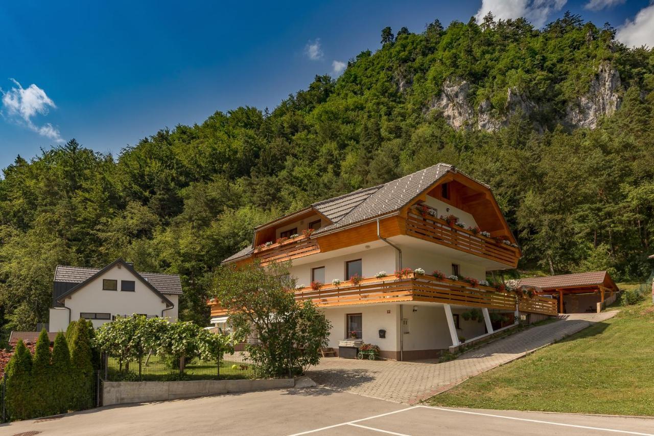 Fine Stay Apartments Zirovnica Exterior foto