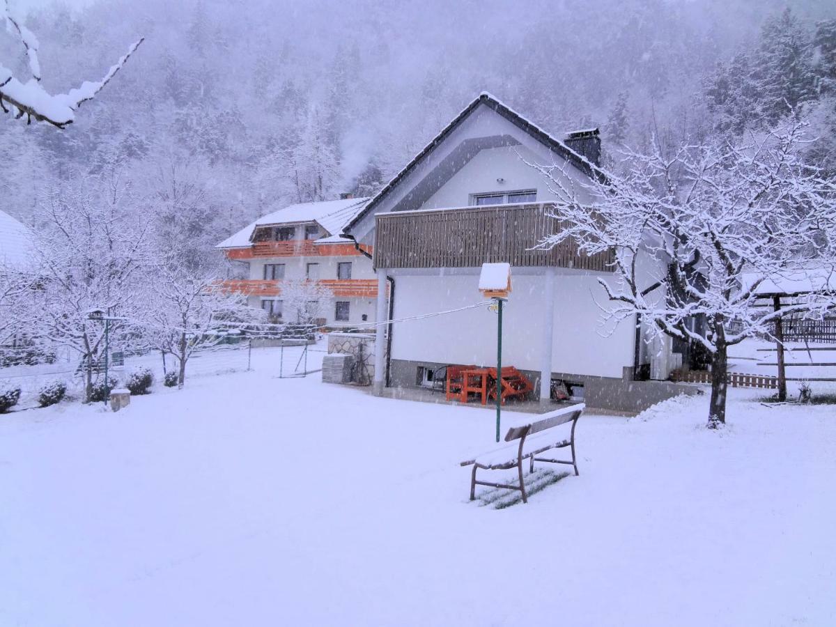 Fine Stay Apartments Zirovnica Exterior foto